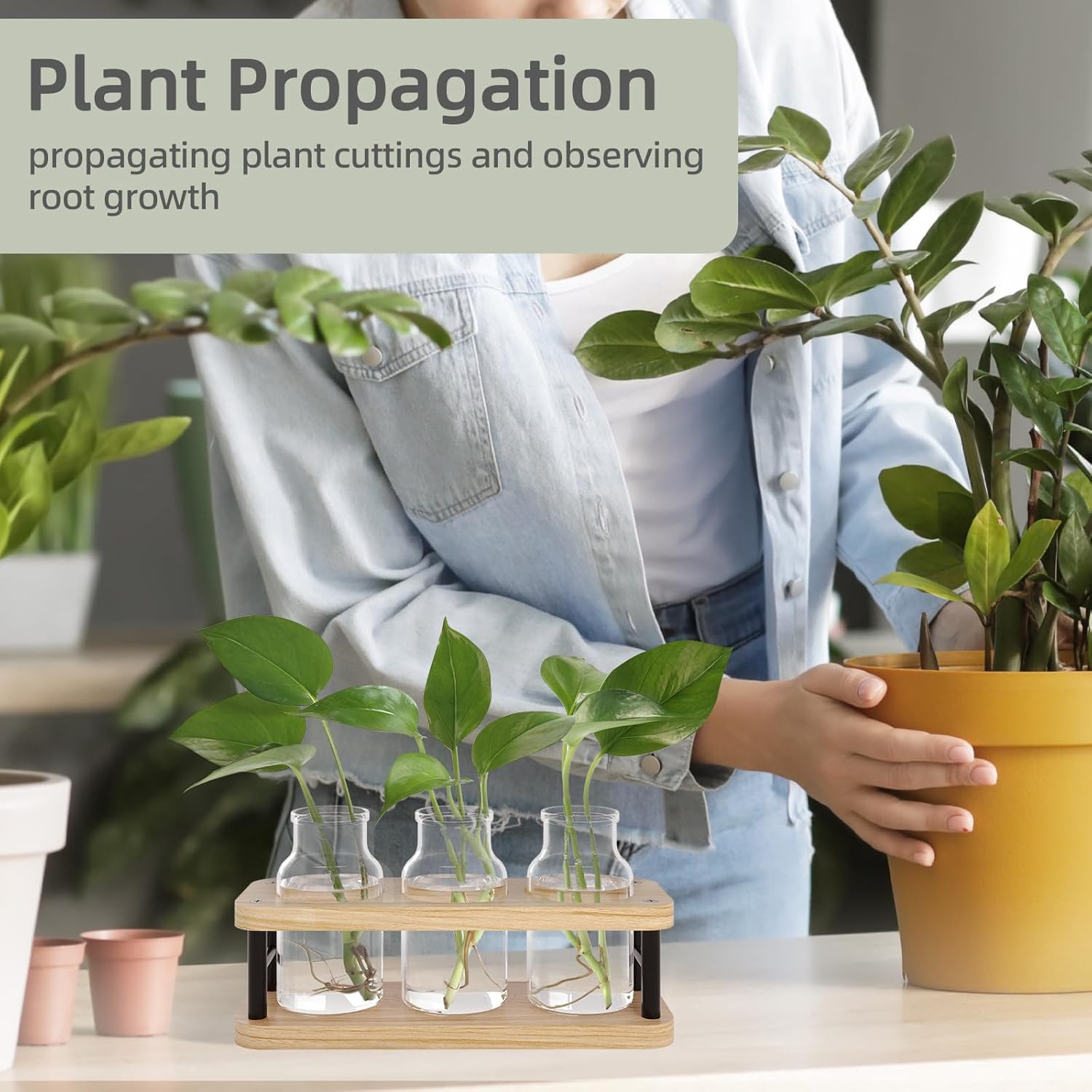 Propagation Station with Woode - đánh giá và giá Propagation Station Vase