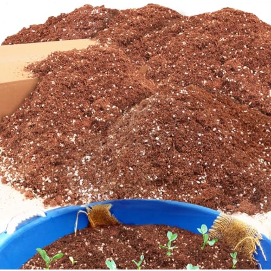 2 Mix for Indoor Plants - Cont - đánh giá và giá Coco Perlite Mix