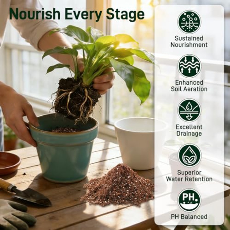 2 Mix for Indoor Plants - Cont - đánh giá và giá Coco Perlite Mix