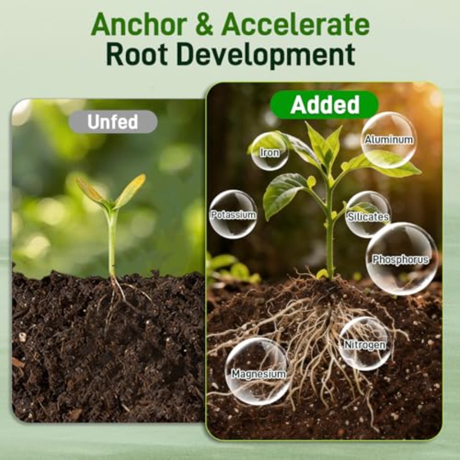 2 Mix for Indoor Plants - Cont - đánh giá và giá Coco Perlite Mix