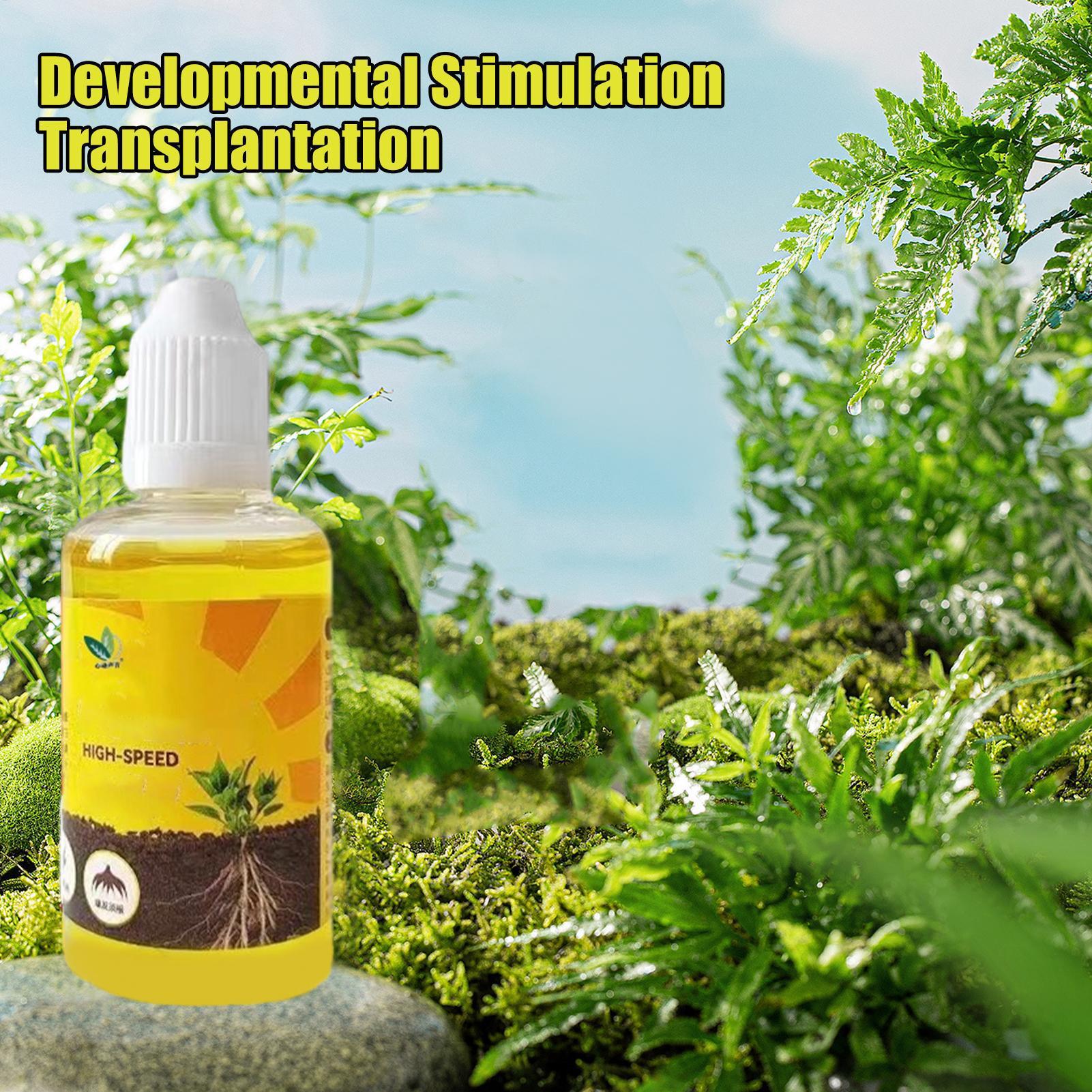 Plant Resurrection Liquid 50ml - đánh giá và giá Root Stimulator Liquid