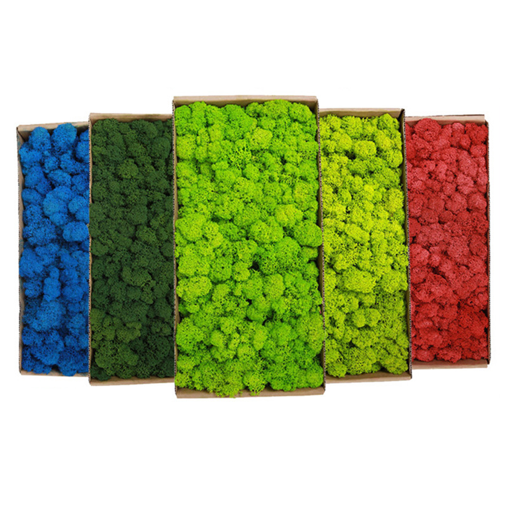 200g Artificial Green Plants M - đánh giá và giá Sphagnum Moss Dry