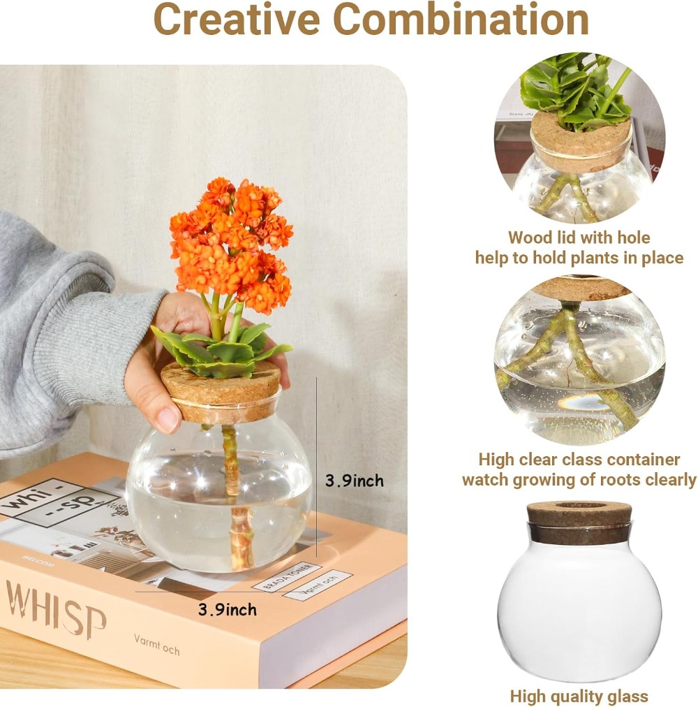 Hydroponic Plant Propagation S - đánh giá và giá Propagation Station Vase