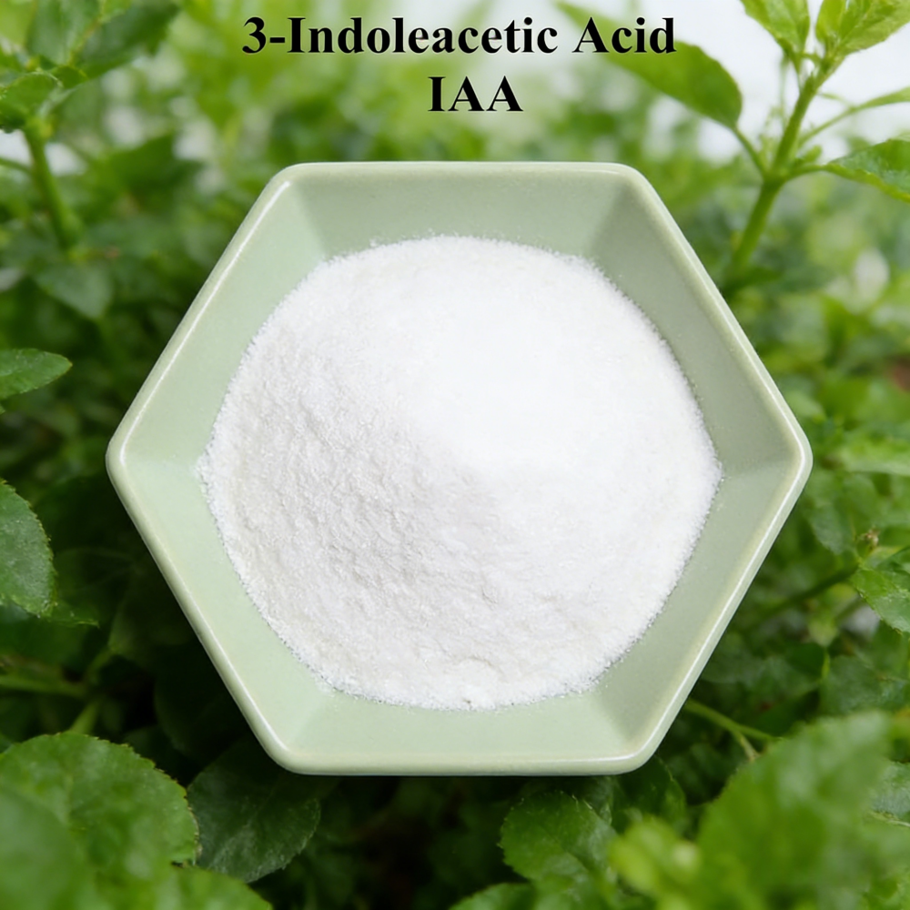 3-indoleacetic Acid IAA Auxina - đánh giá và giá Rooting Hormone Powder