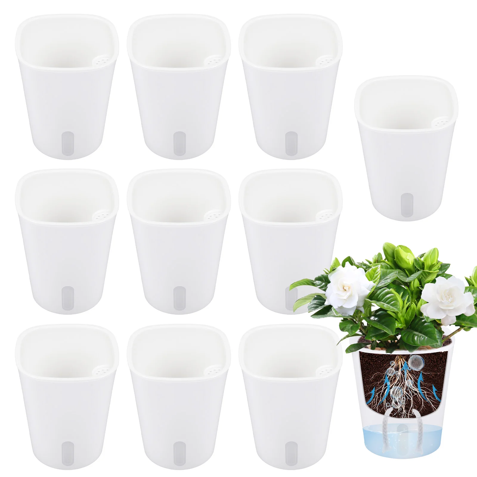 10 Pcs Self Watering Planter L - đánh giá và giá Self Watering Insert