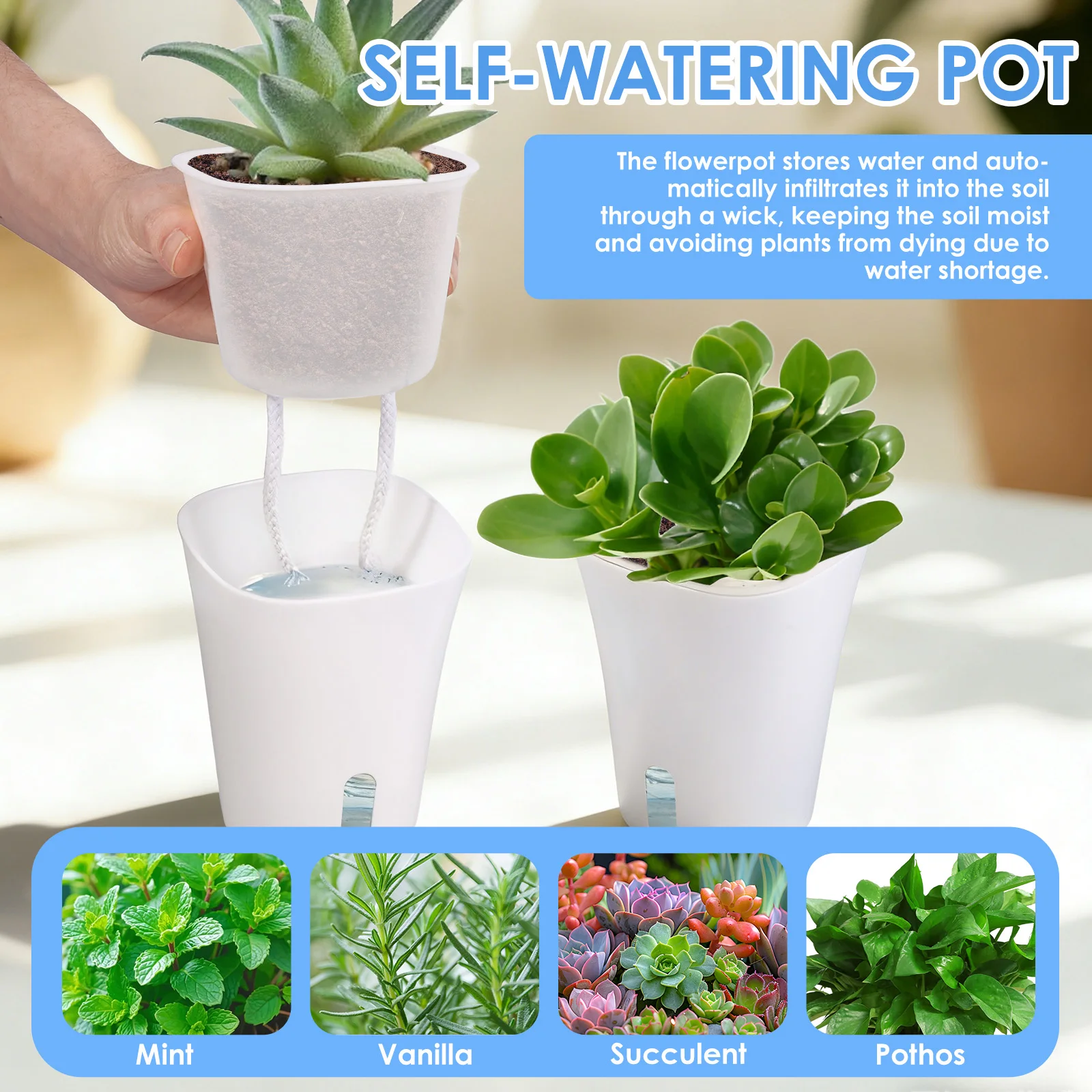 10 Pcs Self Watering Planter L - đánh giá và giá Self Watering Insert
