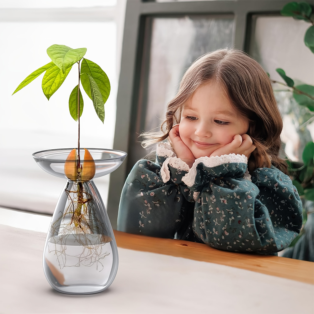 Avocado Seed Starter Vase Tran - đánh giá và giá Propagation Station Vase