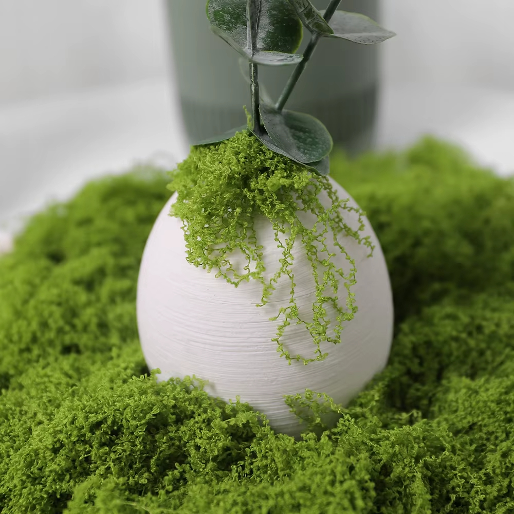 30/100g Artificial Green Plant - đánh giá và giá Sphagnum Moss Dry