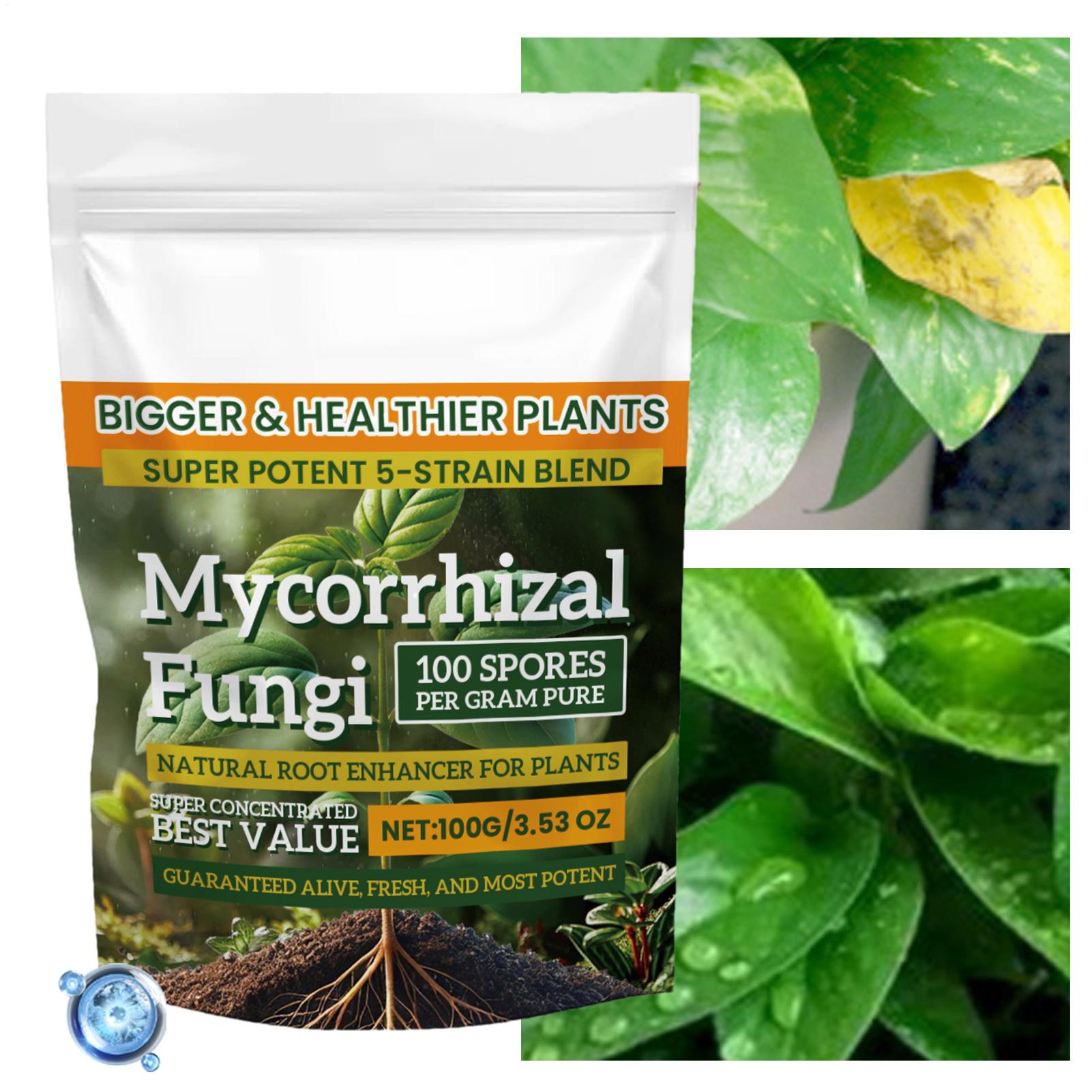 Plant Growth Enhancer Powder 1 - đánh giá và giá Rooting Hormone Powder