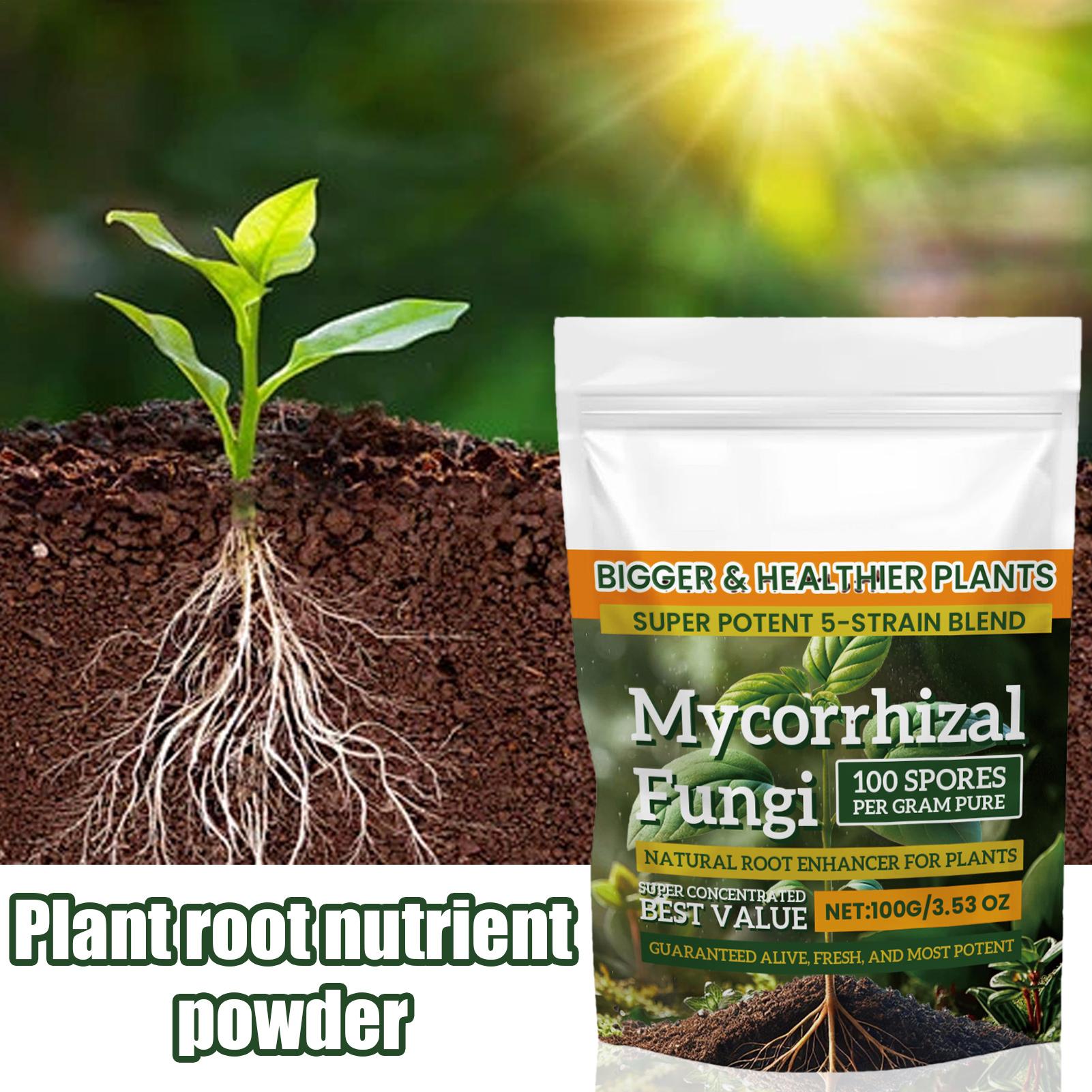 Plant Growth Enhancer Powder 1 - đánh giá và giá Rooting Hormone Powder