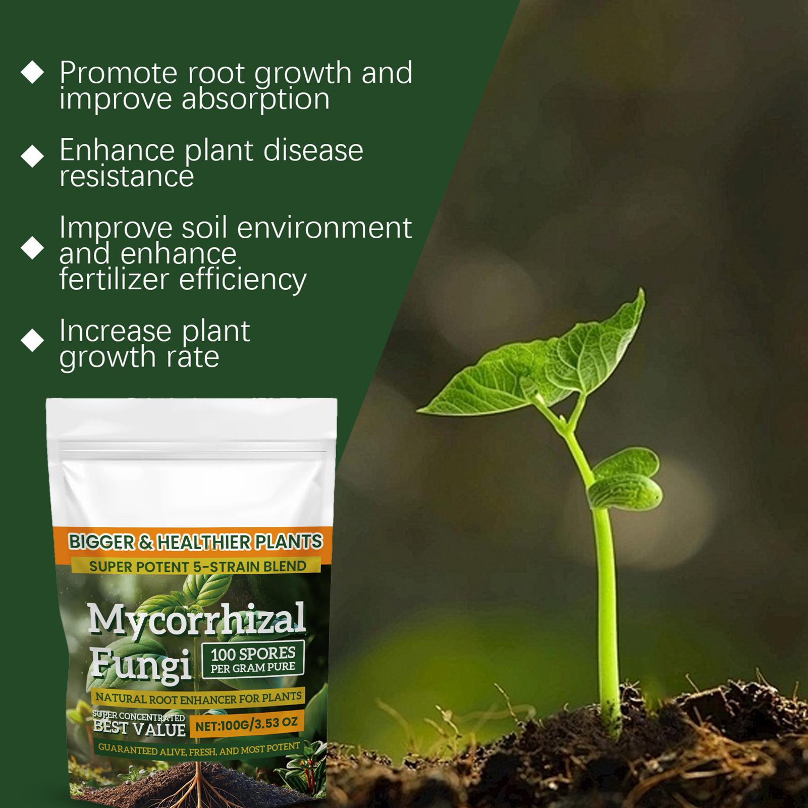 Plant Growth Enhancer Powder 1 - đánh giá và giá Rooting Hormone Powder