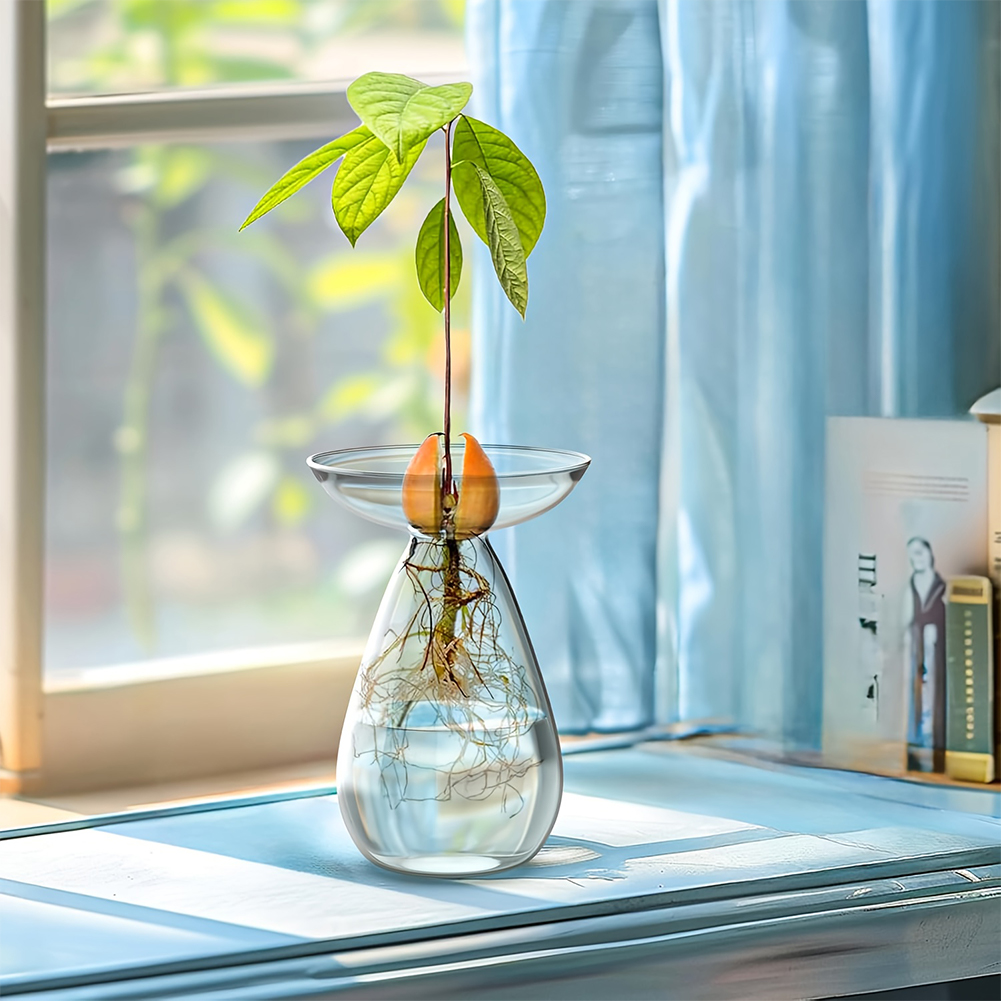 Avocado Seed Starter Vase Tran - đánh giá và giá Propagation Station Vase
