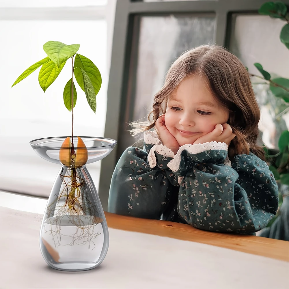 Avocado Seed Starter Vase Tran - đánh giá và giá Propagation Station Vase