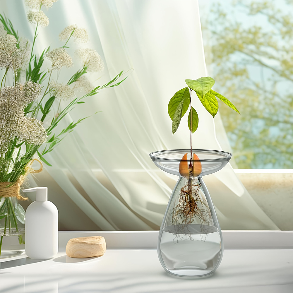 Avocado Seed Starter Vase Tran - đánh giá và giá Propagation Station Vase
