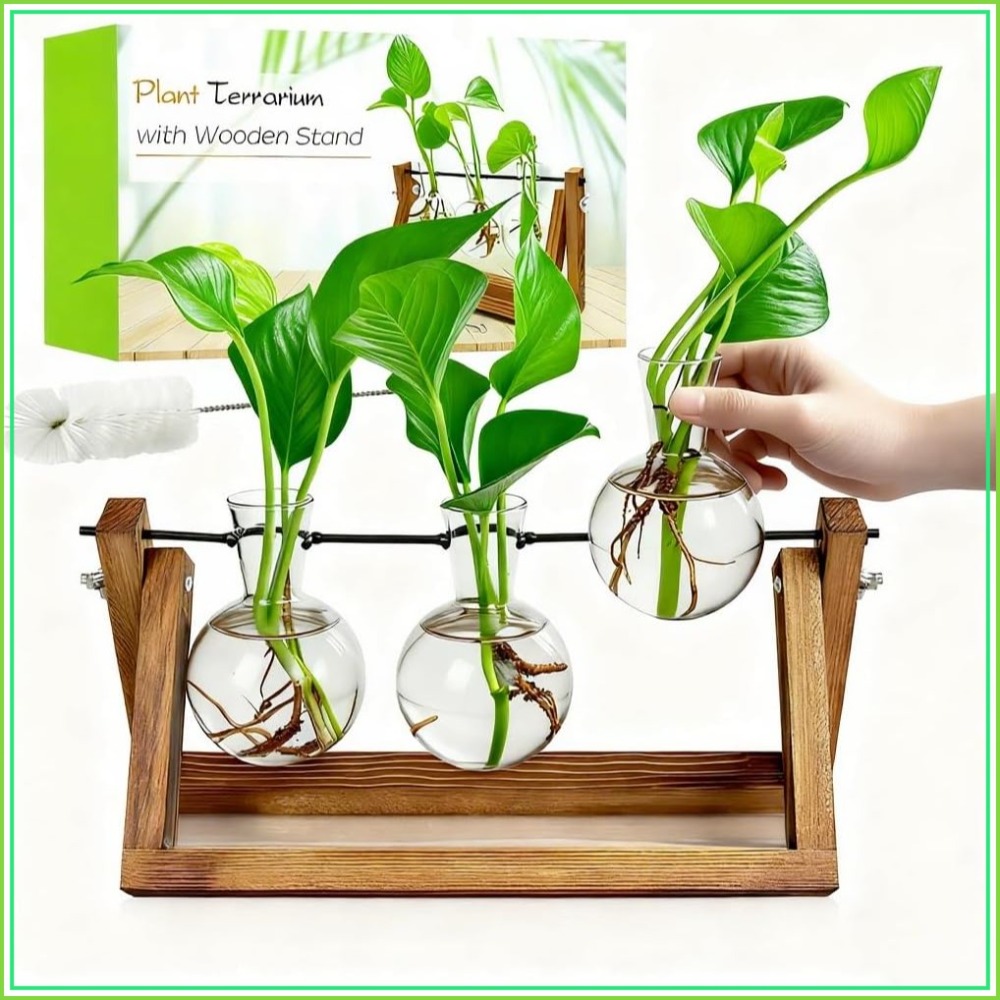 Plant Propagation Station with - đánh giá và giá Propagation Station Vase