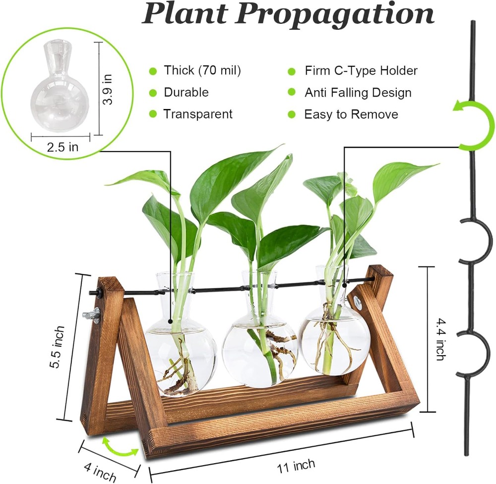 Plant Propagation Station with - đánh giá và giá Propagation Station Vase