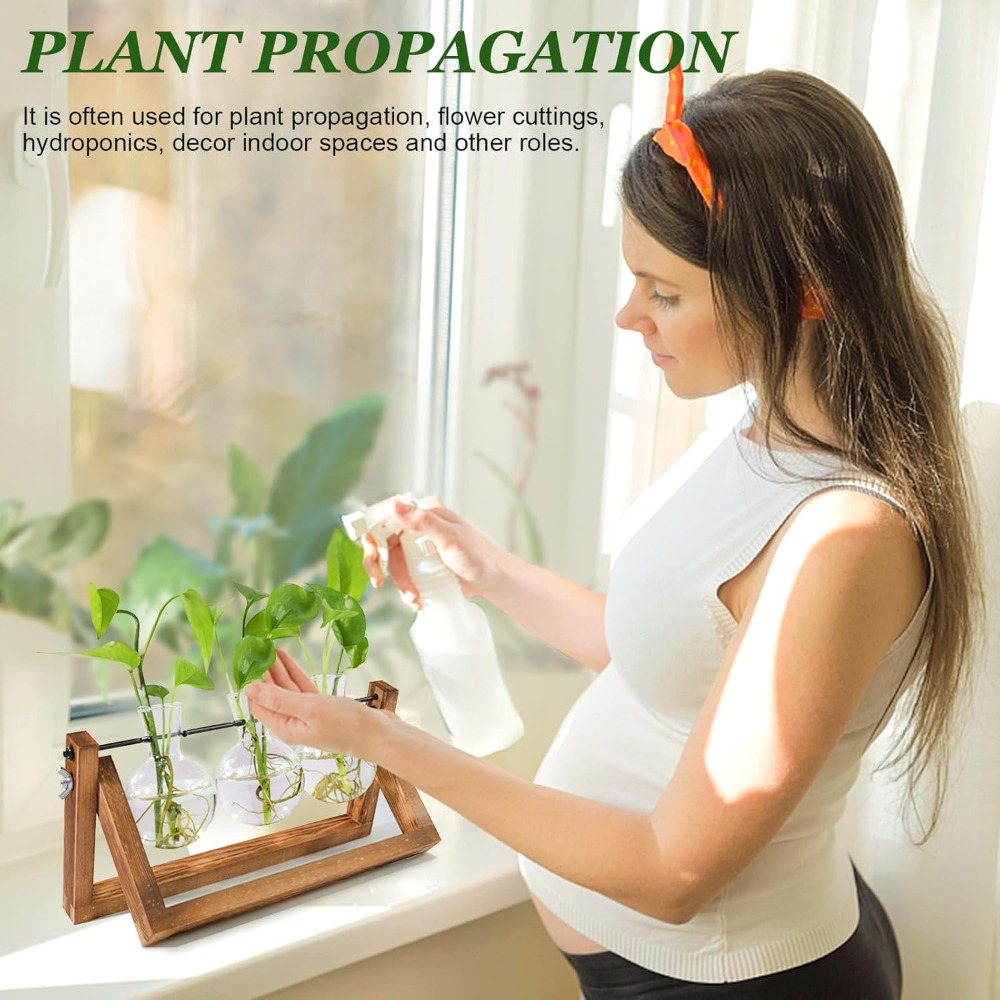 Plant Propagation Station with - đánh giá và giá Propagation Station Vase