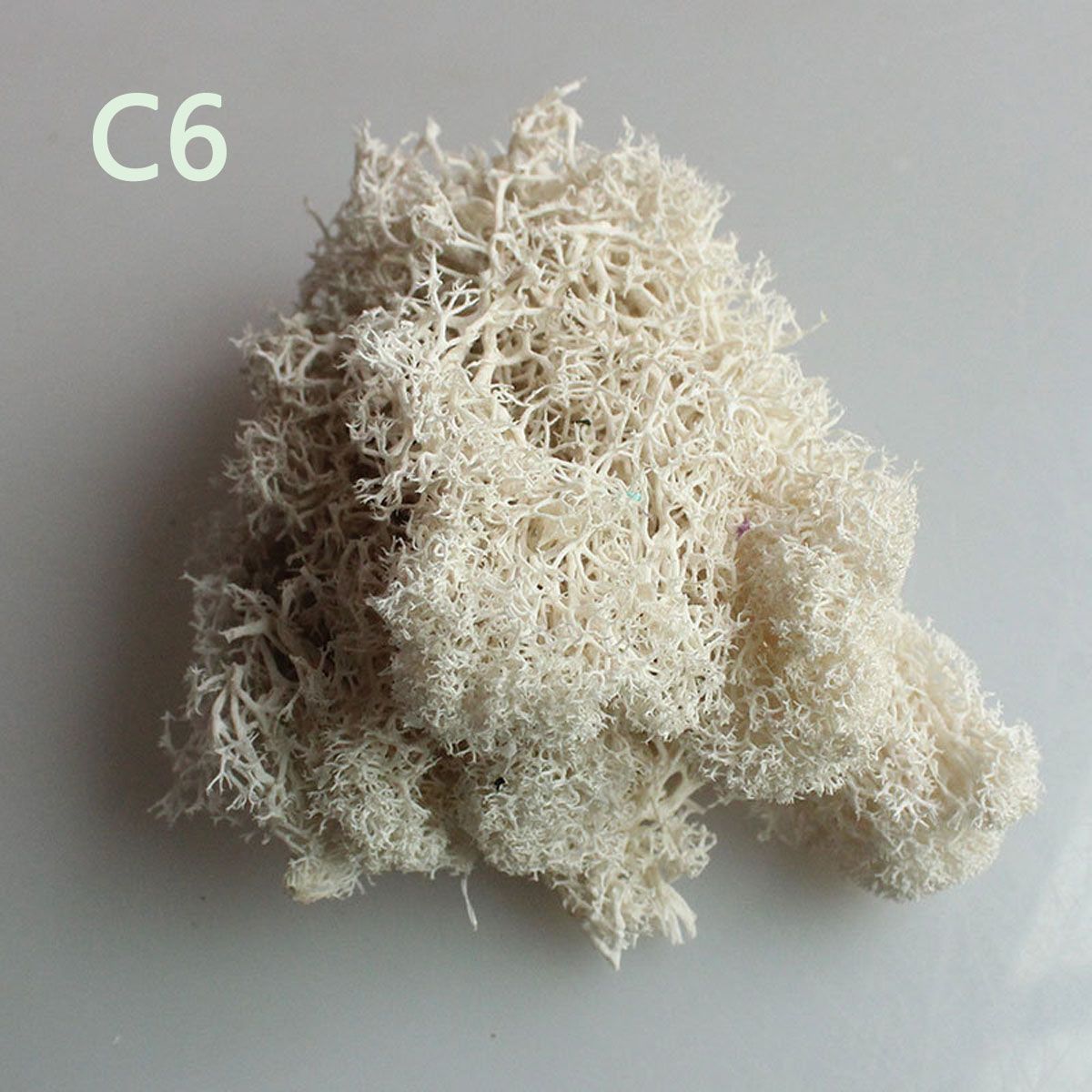 Colorful DIY Home Decor Christ - đánh giá và giá Sphagnum Moss Dry