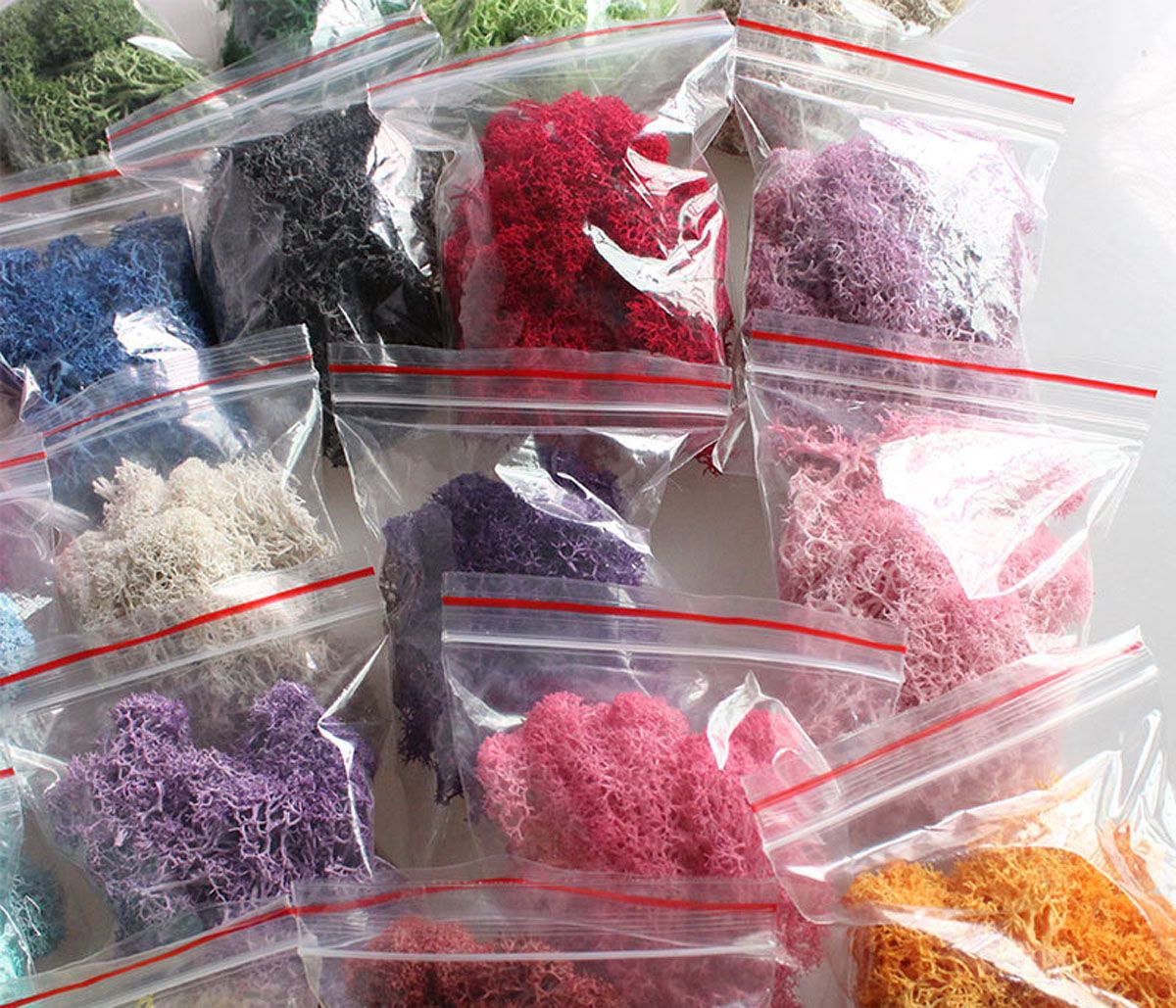 Colorful DIY Home Decor Christ - đánh giá và giá Sphagnum Moss Dry
