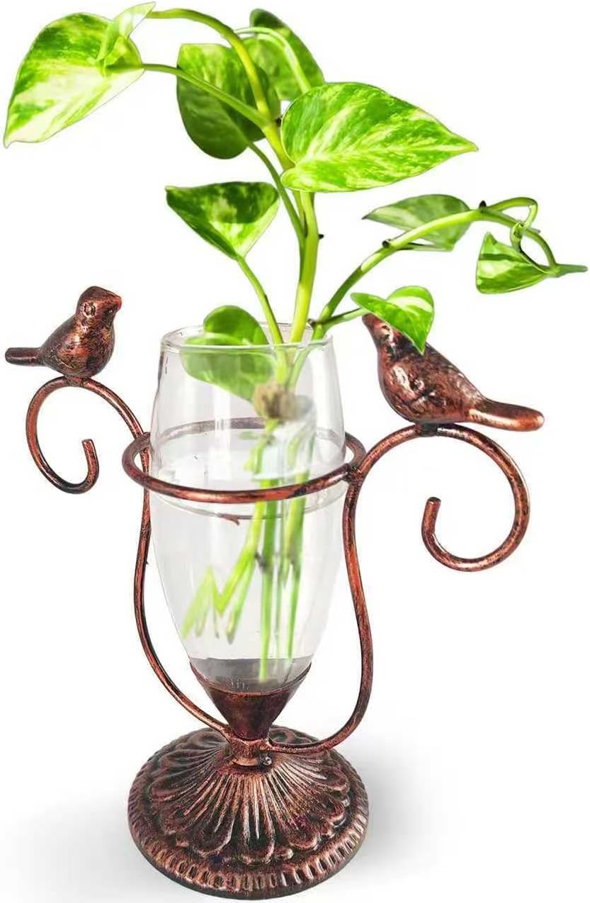 2 Vintage Copper Bird Plant Pr - đánh giá và giá Propagation Station Vase
