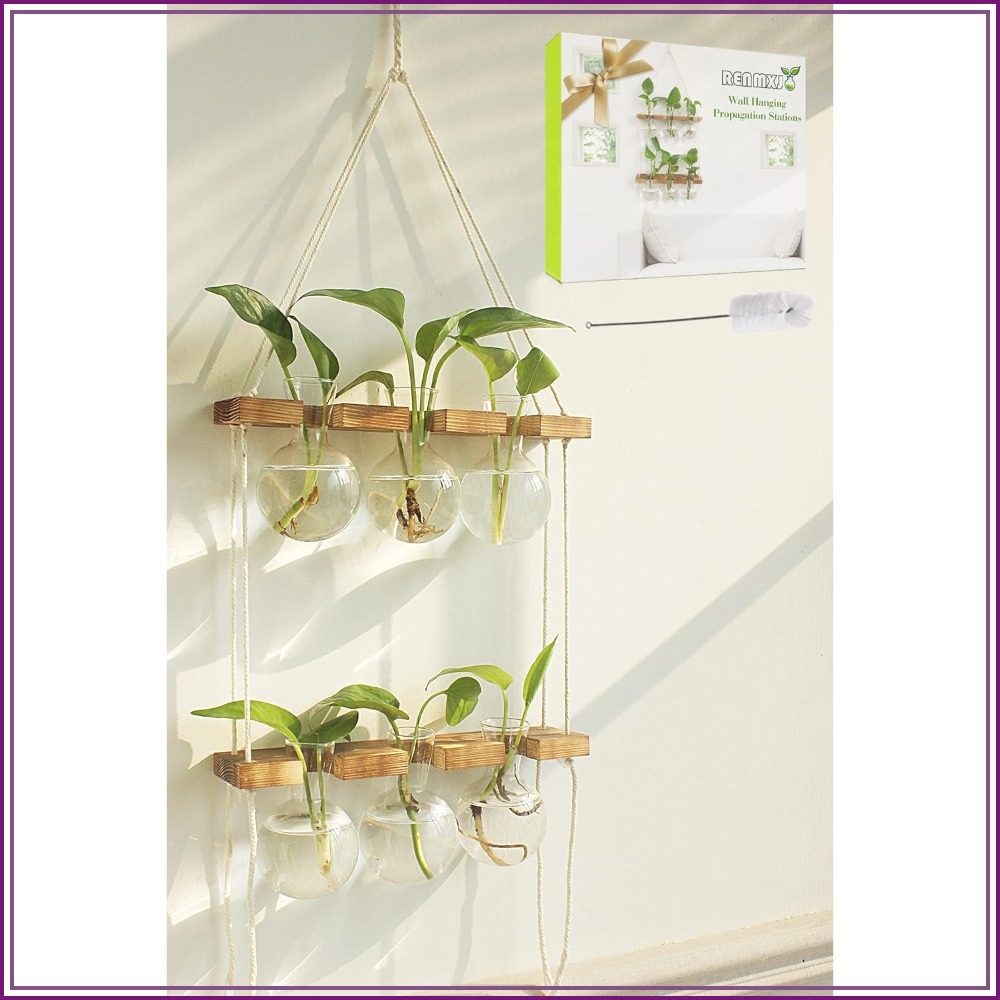 Wall Hanging Plant Propagation - đánh giá và giá Propagation Station Vase