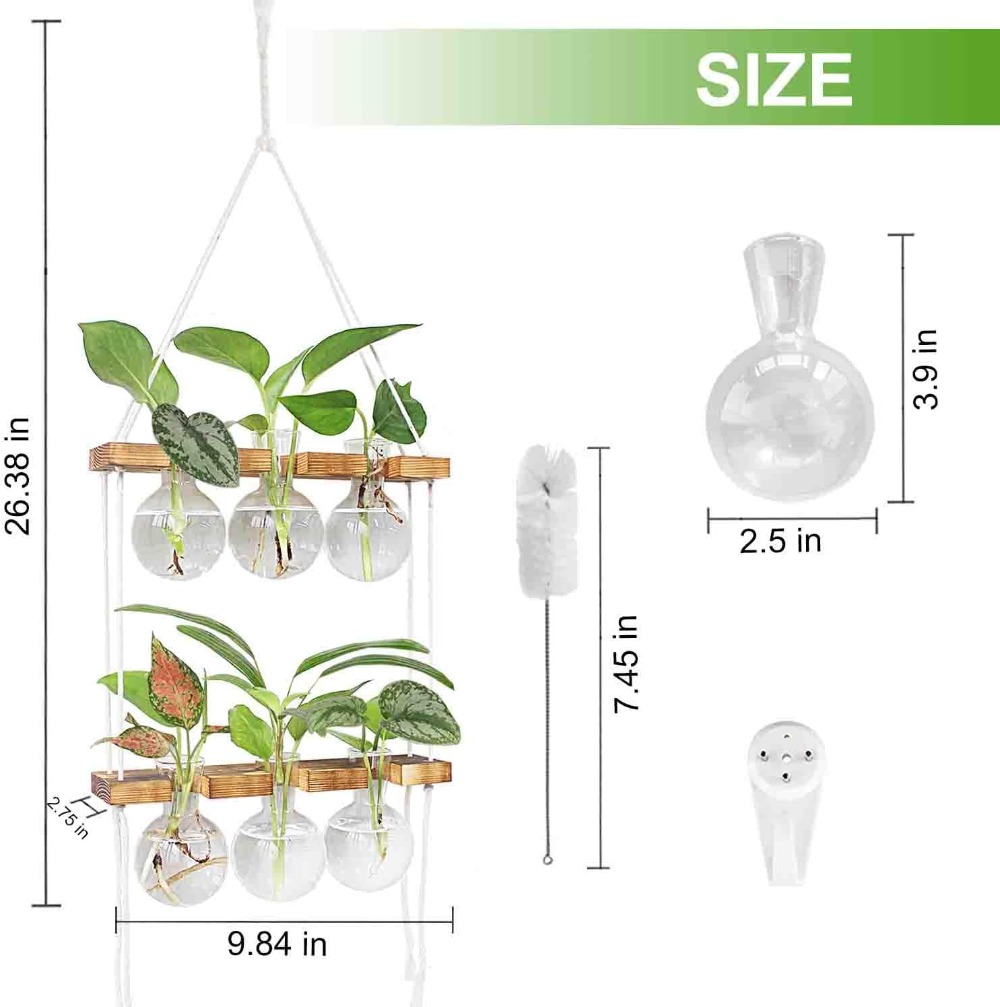 Wall Hanging Plant Propagation - đánh giá và giá Propagation Station Vase