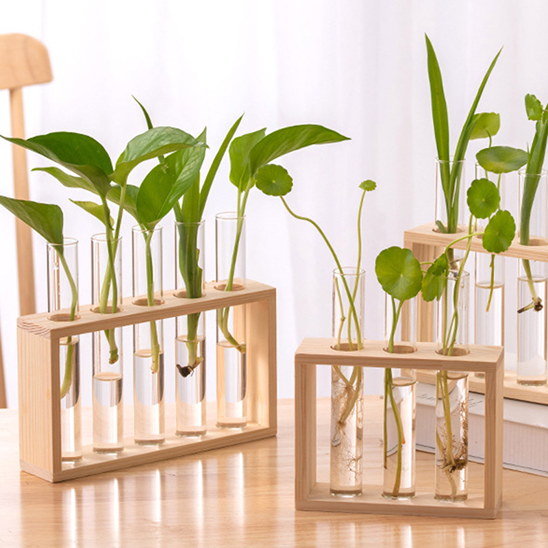 Hydroponic Plants Container wi - đánh giá và giá Propagation Station Vase