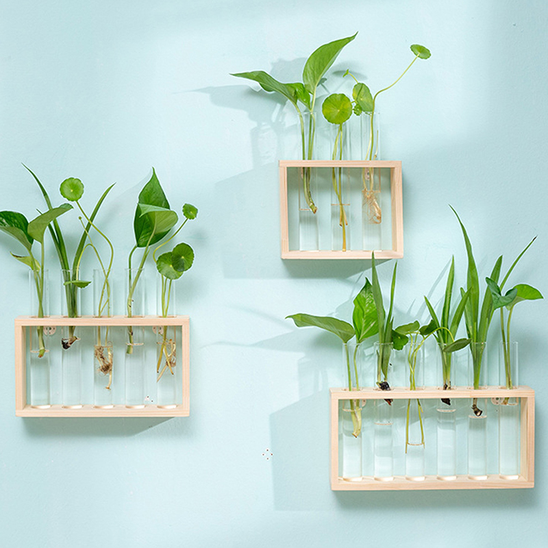 Hydroponic Plants Container wi - đánh giá và giá Propagation Station Vase