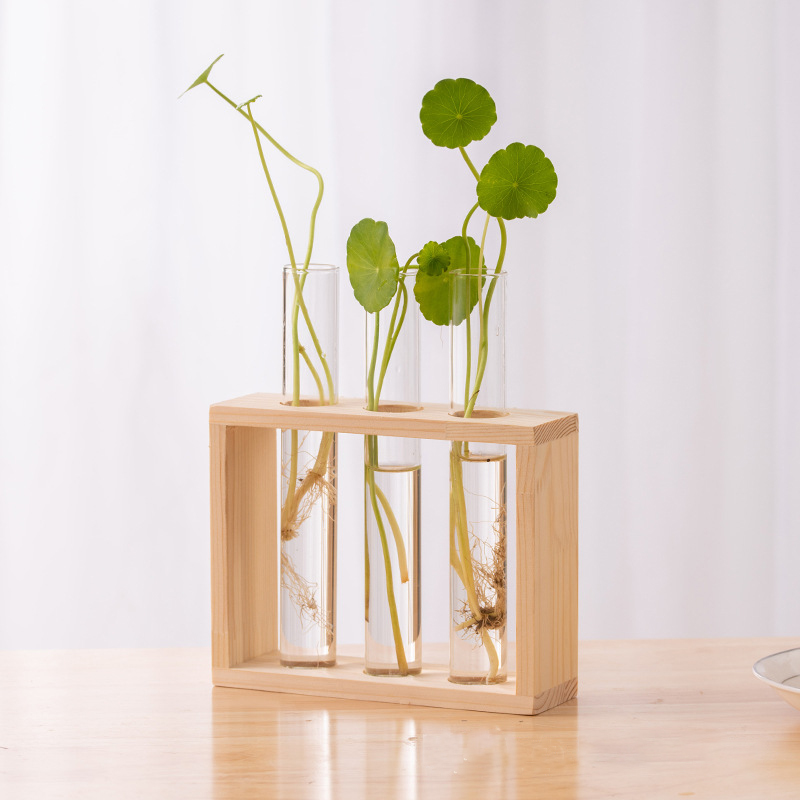 Hydroponic Plants Container wi - đánh giá và giá Propagation Station Vase