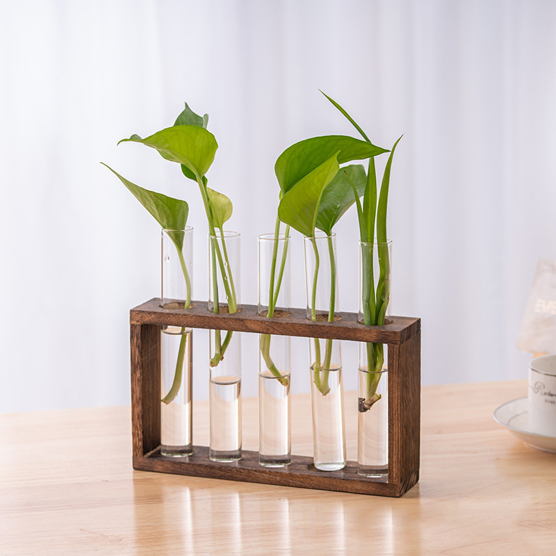 Hydroponic Plants Container wi - đánh giá và giá Propagation Station Vase