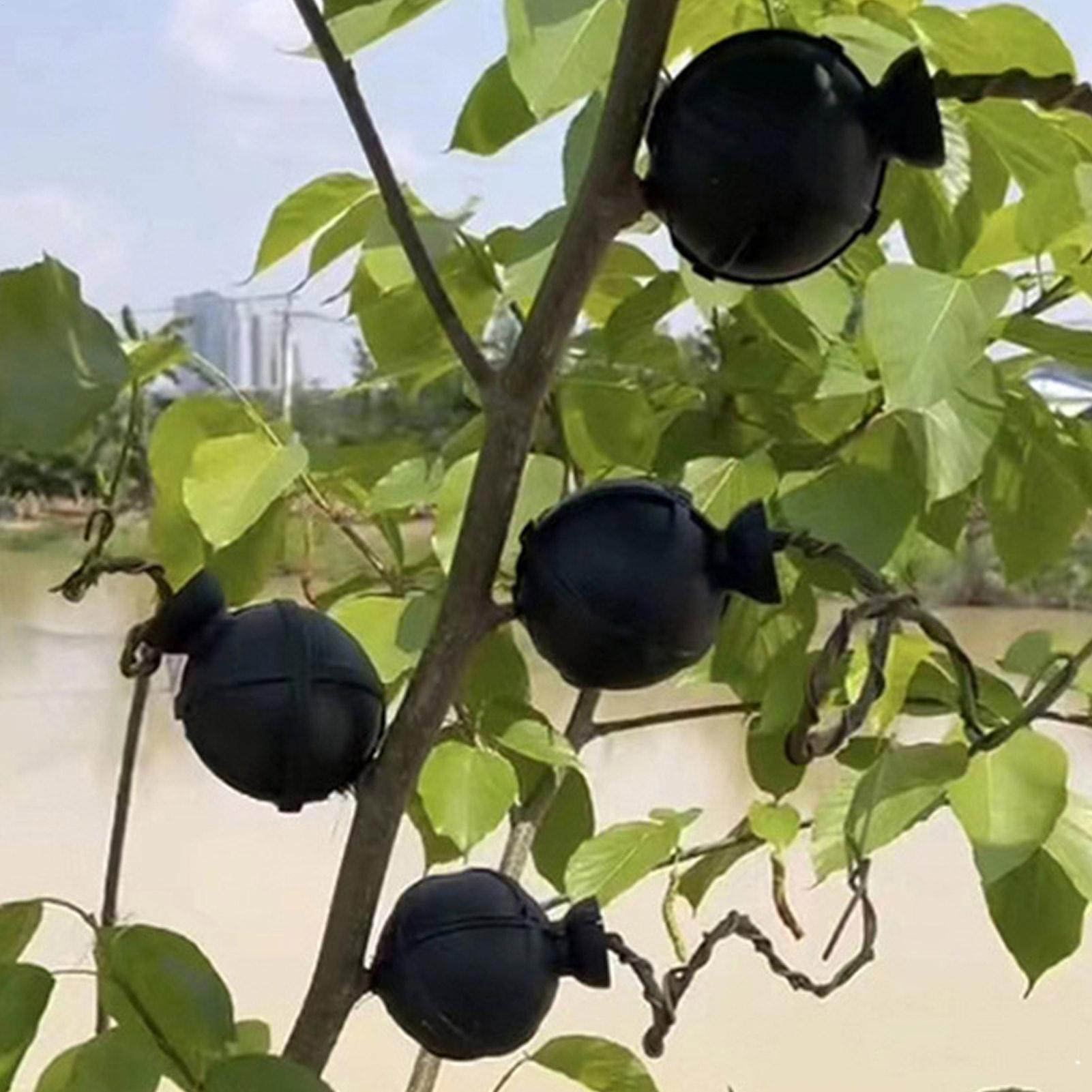 Garden Orchard Plants Grafting - đánh giá và giá Rooting Gel Clone
