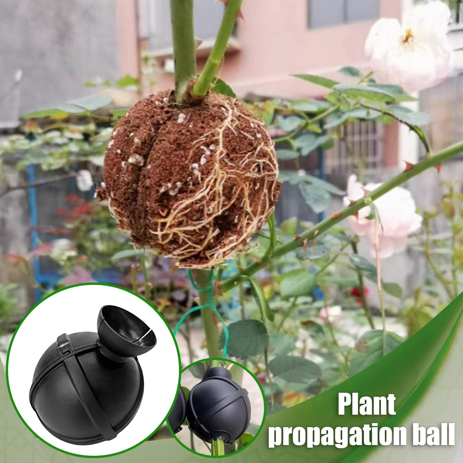 Garden Orchard Plants Grafting - đánh giá và giá Rooting Gel Clone